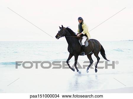 Man riding horse on beach. View Large Photo Image Picture - Man riding horse on beach.. Fotosearch