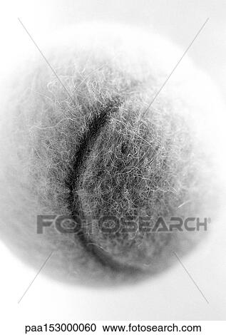 Tennis ball, close-up, b&w. View Large Photo Image Stock Image - Tennis ball, close-up, b&w.. Fotosearch