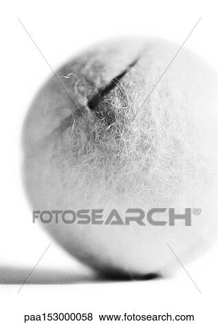 Tennis ball, close-up, b&w. View Large Photo Image Stock Photo - Tennis ball, close-up, b&w.. Fotosearch