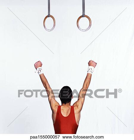 Male gymnast standing under rings, arms up, rear view. View Large Photo Image Stock Photo - Male gymnast standing under rings, arms up, rear view.. Fotosearch