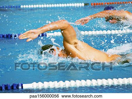 Male swimmers doing freestyle in pool, close-up View Large Photo Image Stock Photograph - Male swimmers doing freestyle in pool, close-up. Fotosearch