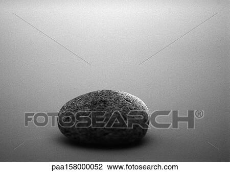Pebble, b&w. View Large Photo Image Stock Image - Pebble, b&w.. Fotosearch