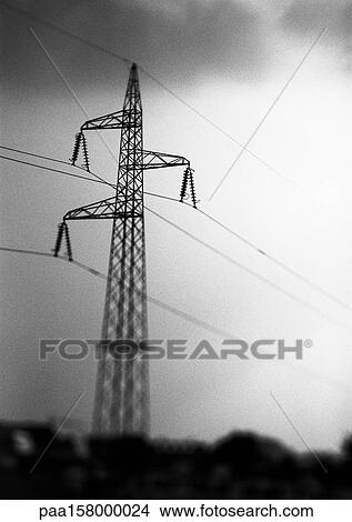 Power line, low angle view, b&w. View Large Photo Image Picture - Power line, low angle view, b&w.. Fotosearch