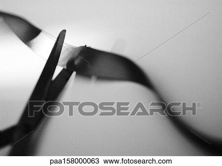 Scissors cutting ribbon, close-up, b&w. View Large Photo Image Stock Image - Scissors cutting ribbon, close-up, b&w.. Fotosearch