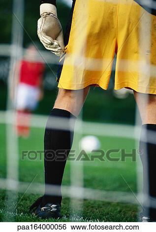 Goal keeper defending goal area when opponent is about to take penalty kick, seen from behind the goal. View Large Photo Image Stock Photograph - Goal keeper defending goal area when opponent is about to take penalty kick, seen from behind the goal.. Fotosearch
