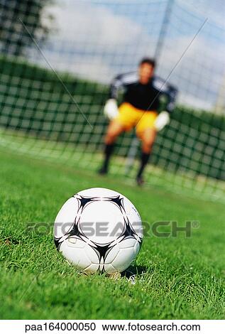 Soccerball in foreground, goal keeper in front of goal net, blurred in background View Large Photo Image Stock Image - Soccerball in foreground, goal keeper in front of goal net, blurred in background. Fotosearch