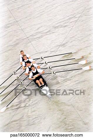 Four men rowing crew in boat, elevated view. View Large Photo Image Stock Image - Four men rowing crew in boat, elevated view.. Fotosearch