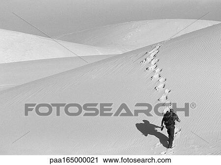 Man hiking across dune, rear view, b&w. View Large Photo Image Stock Image - Man hiking across dune, rear view, b&w.. Fotosearch