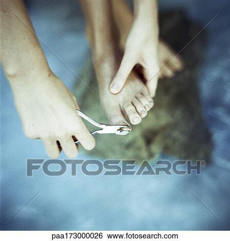 Stock Photograph - Woman's hands cutting toenails, close-up. Fotosearch