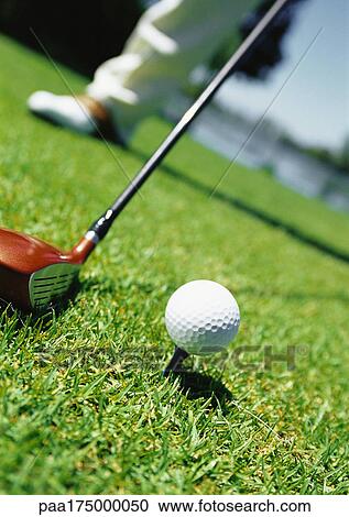 Stock Image - Golf club and ball on green, close-up. Fotosearch