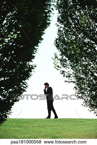 Businessman in park, long shot, trees in foreground View Large Photo Image Stock Photo - Businessman in park, long shot, trees in foreground. Fotosearch