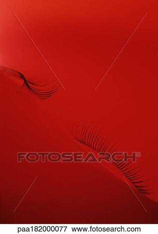 False eyelashes, close-up View Large Photo Image Stock Photo - False eyelashes, close-up. Fotosearch