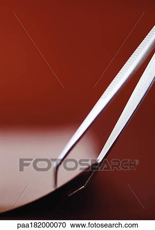 Stock Image - Tweezers, close-up. Fotosearch