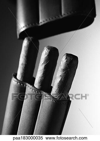 Cigars in holder, close-up, b&w View Large Photo Image Stock Photography - Cigars in holder, close-up, b&w. Fotosearch