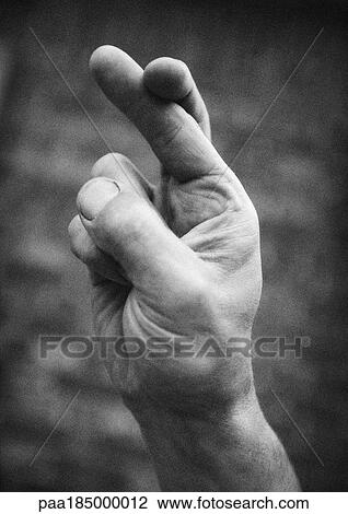 Stock Image - Crossed fingers, close-up, b&w. Fotosearch