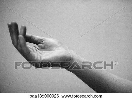 Hand, close-up, b&w View Large Photo Image Stock Photograph - Hand, close-up, b&w. Fotosearch