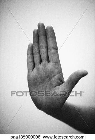 Hand forming stop sign, close-up, b&w View Large Photo Image Stock Photograph - Hand forming stop sign, close-up, b&w. Fotosearch