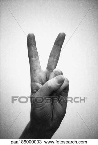 Hand forming victory sign, close-up, b&w View Large Photo Image Stock Image - Hand forming victory sign, close-up, b&w. Fotosearch