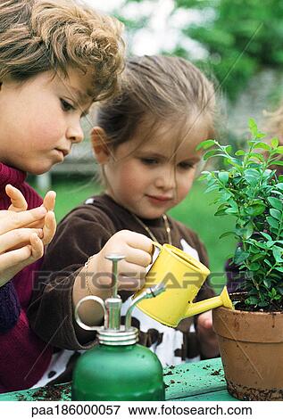 Two children watering plants, close-up View Large Photo Image Stock Photo - Two children watering plants, close-up. Fotosearch