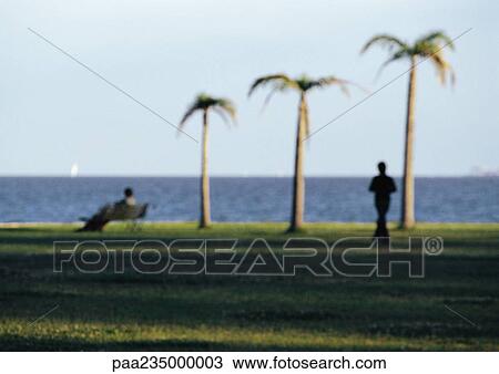 Stock Image - Two people and three palm trees by water, blurred.. Fotosearch