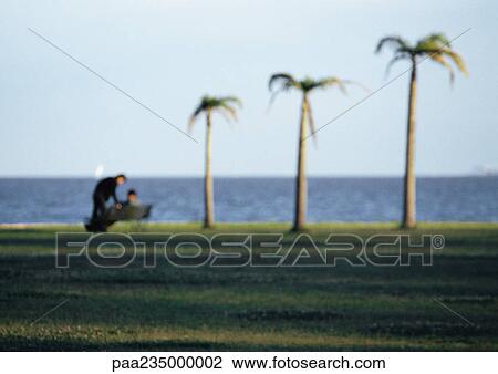Stock Image - Two people together and three palm trees by ocean, blurred.. Fotosearch