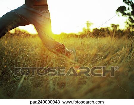 Person in field of tall grass, low section View Large Photo Image Stock Photo - Person in field of tall grass, low section. Fotosearch