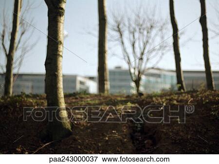 Stock Photo - Trees, buildings in background. Fotosearch