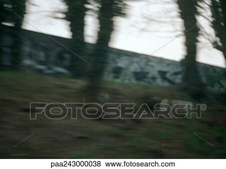 Stock Photo - Trees in front of wall, blurred. Fotosearch