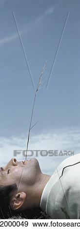 Stock Photo - Man lying on back, partial view, in front of long piece of grass, sky in background. Fotosearch
