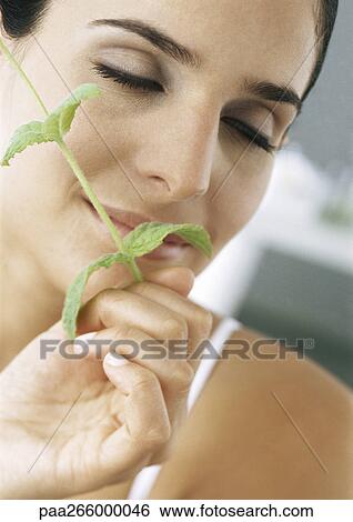 Stock Photograph - Woman holding sprig of mint under nose, eyes closed, close-up. Fotosearch