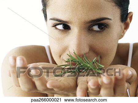Woman holding sprigs of rosemary in palms, looking to the side, close-up View Large Photo Image Stock Image - Woman holding sprigs of rosemary in palms, looking to the side, close-up. Fotosearch