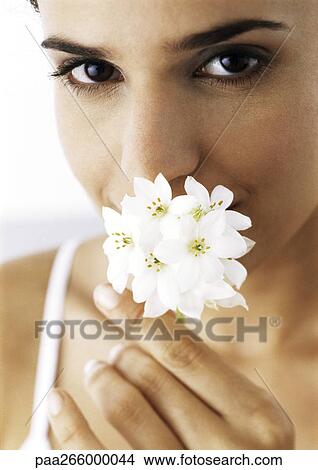 Woman holding white flowers to nose, looking at camera, close-up View Large Photo Image Picture - Woman holding white flowers to nose, looking at camera, close-up. Fotosearch