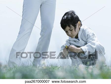 Stock Photo - Little boy squatting down on grass looking at flower, next to woman's legs. Fotosearch