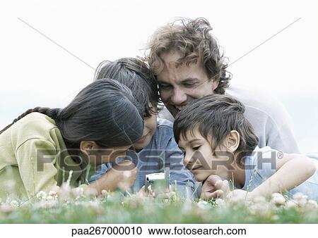 Man with boys and girl lying on grass looking at cellphone, surface level View Large Photo Image Stock Image - Man with boys and girl lying on grass looking at cellphone, surface level. Fotosearch