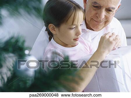 Girl and grandfather opening package, Christmas tree branches in foreground View Large Photo Image Stock Photo - Girl and grandfather opening package, Christmas tree branches in foreground. Fotosearch