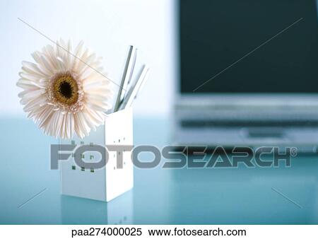 Flower in penholder View Large Photo Image Stock Photography - Flower in penholder. Fotosearch
