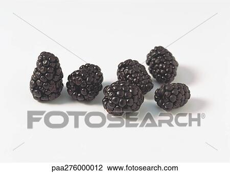 Blackberries View Large Photo Image Stock Image - Blackberries. Fotosearch