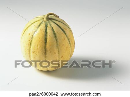 Cantaloupe View Large Photo Image Stock Image - Cantaloupe. Fotosearch