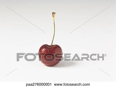 Cherry View Large Photo Image Stock Image - Cherry. Fotosearch