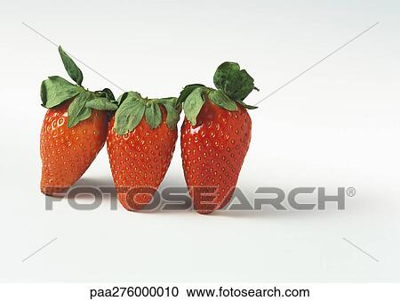 Gariguette strawberries View Large Photo Image Stock Image - Gariguette strawberries. Fotosearch