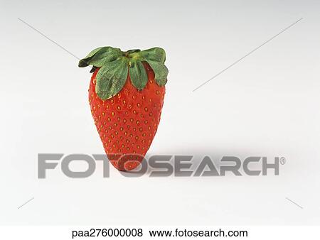 Gariguette strawberry View Large Photo Image Stock Photo - Gariguette strawberry. Fotosearch