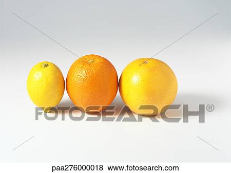 Lemon, orange and grapefruit View Large Photo Image Stock Photo - Lemon, orange and grapefruit. Fotosearch