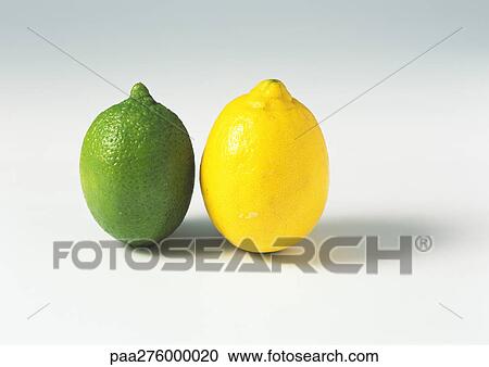 Lime and lemon View Large Photo Image Stock Image - Lime and lemon. Fotosearch