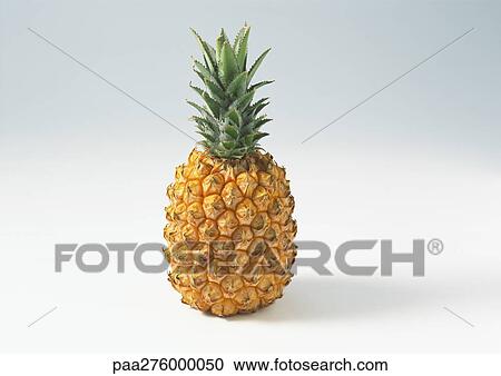 Pineapple View Large Photo Image Stock Image - Pineapple. Fotosearch