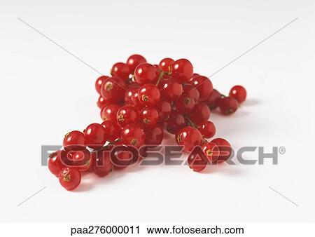 Stock Image - Red currants. Fotosearch