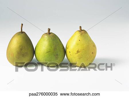 Three pears View Large Photo Image Stock Photography - Three pears. Fotosearch