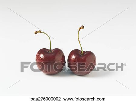Two cherries View Large Photo Image Stock Image - Two cherries. Fotosearch