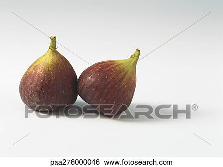 Two figs View Large Photo Image Stock Photograph - Two figs. Fotosearch