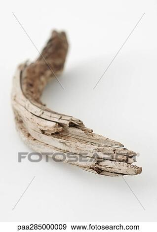 Stock Photo - Driftwood, close-up. Fotosearch