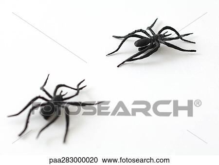 large plastic spiders